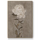 Pretty as a Peony I  -  Framed Canvas Print