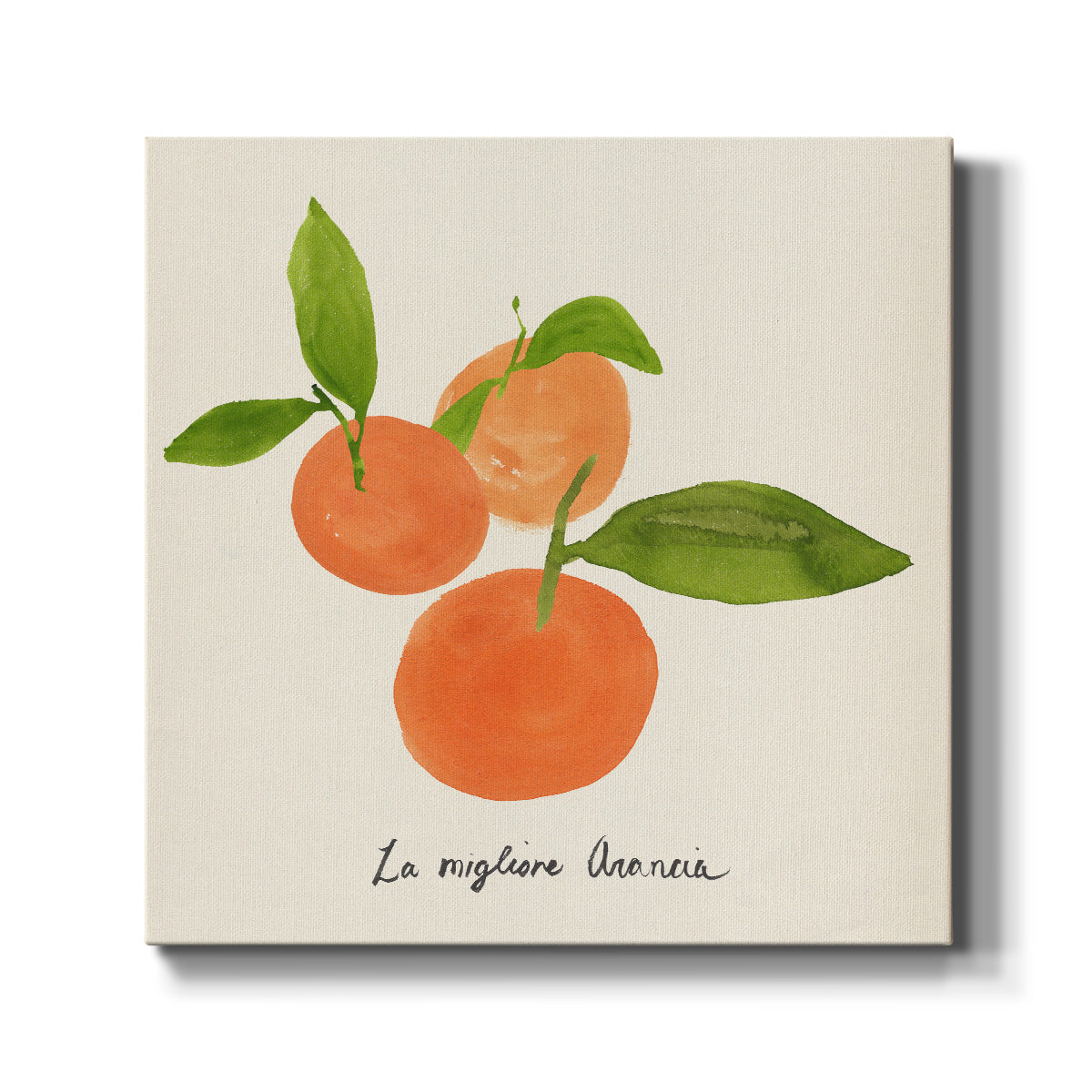 Citrus Trattare II-Premium Gallery Wrapped Canvas - Ready to Hang