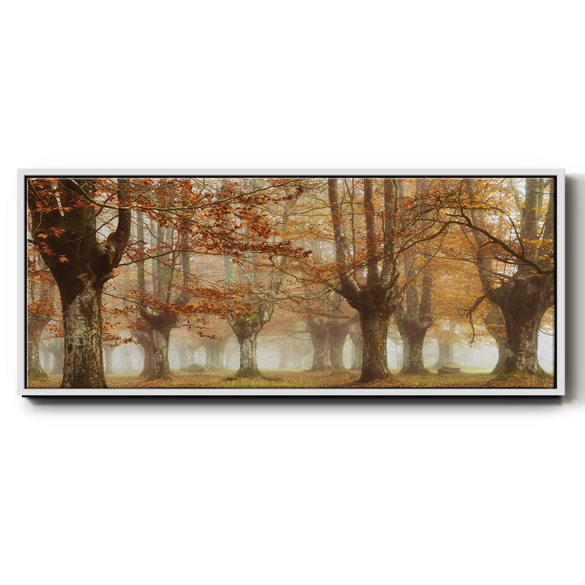 Misty Pan - Floater Framed Canvas Print