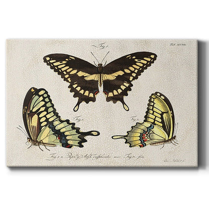 Crackled Butterflies I - Canvas Art Print