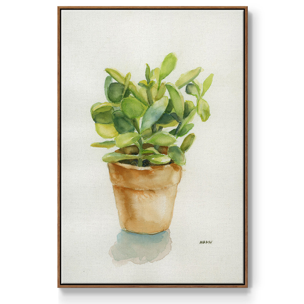 Succulent I - Framed Premium Gallery Wrapped Canvas L Frame - Ready to Hang