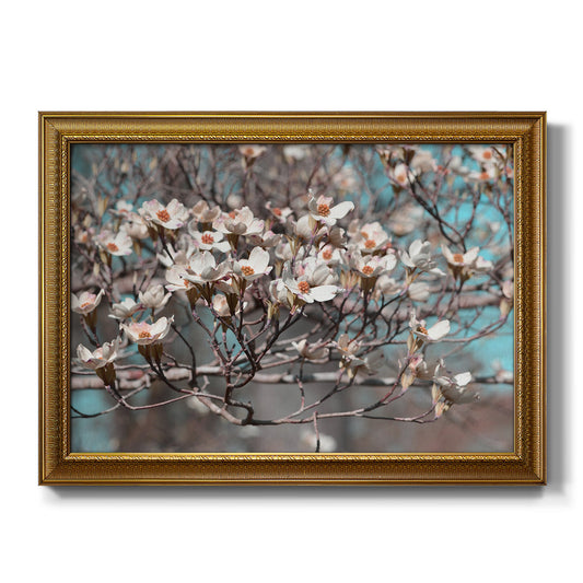 Dogwood Spring II Premium Framed Canvas- Ready to Hang