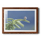 Evergreen Perch - Barnwood Framed Art Print