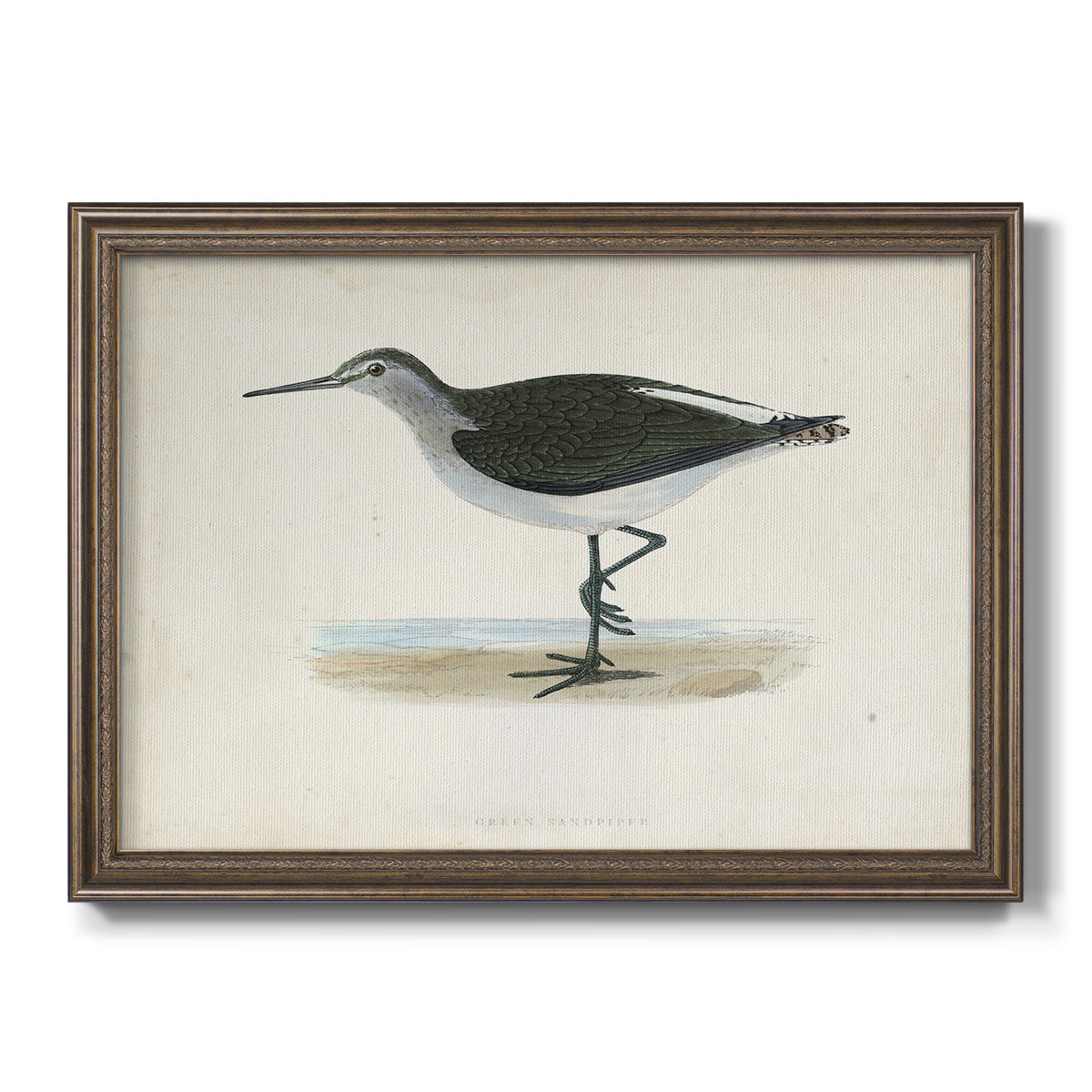 Morris Sandpipers VI Premium Framed Canvas- Ready to Hang