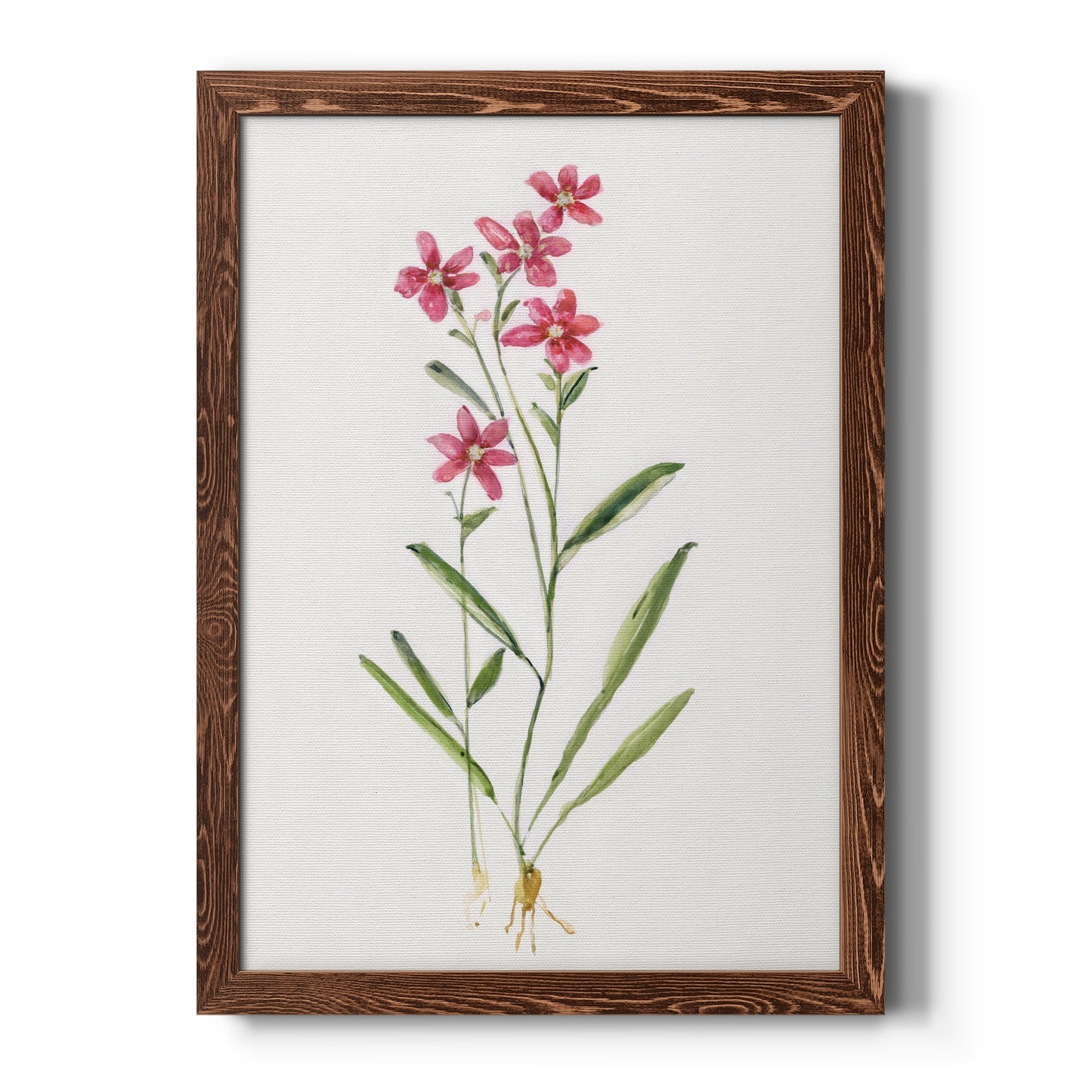 Delicate Pink II - Premium Canvas Framed in Barnwood - Ready to Hang