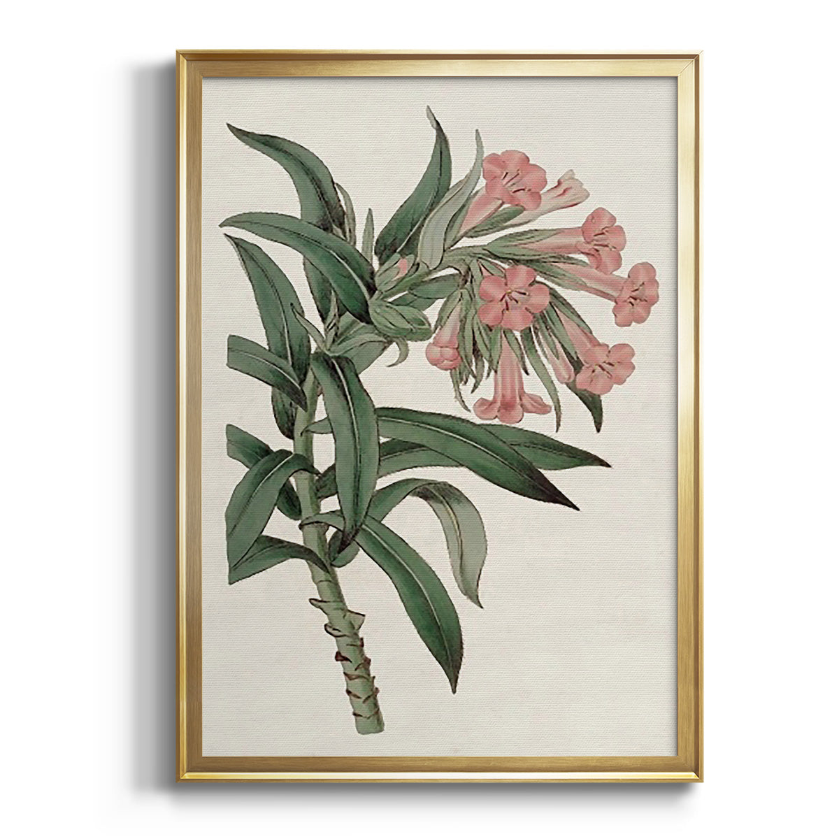 Pink Floral Mix VI - Modern Framed Canvas Print