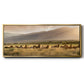 Wild and Free I - Floater Framed Canvas Print