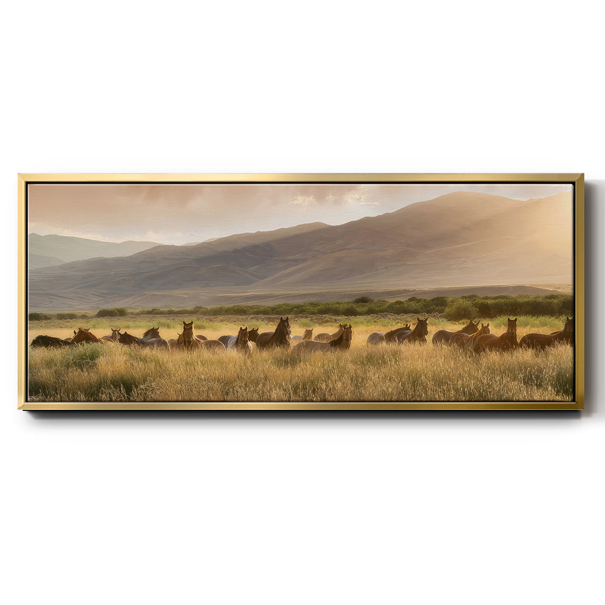 Wild and Free I - Floater Framed Canvas Print