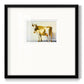 Gold Cow - Double Matboard Framed Print