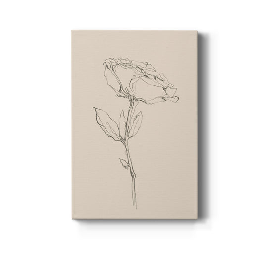 Floral Contour Study IV Premium Gallery Wrapped Canvas - Ready to Hang