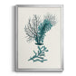 Antique Coastal Coral VI - Modern Framed Canvas Print