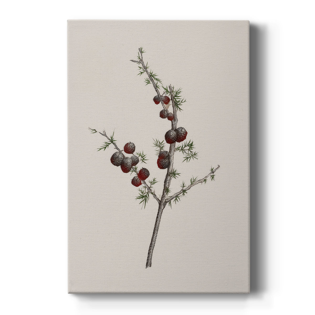Pearled Yule Promise - Canvas Art Print