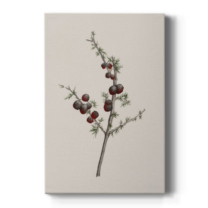 Pearled Yule Promise - Canvas Art Print