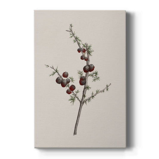Pearled Yule Promise - Canvas Art Print