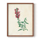 Traditional Botanical I - Restickable Framed Art Print