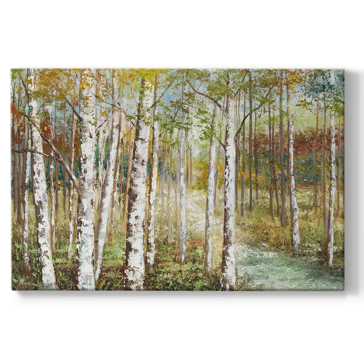 Fall Image 3 Premium Gallery Wrapped Canvas - Ready to Hang