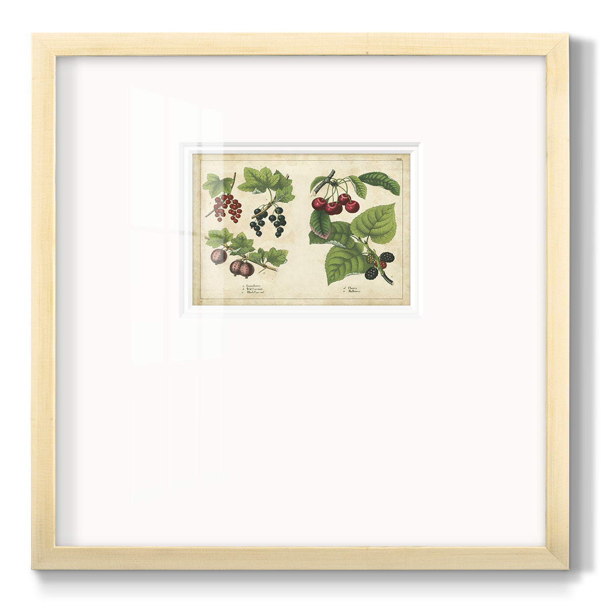 Kitchen Fruits III Premium Framed Print Double Matboard