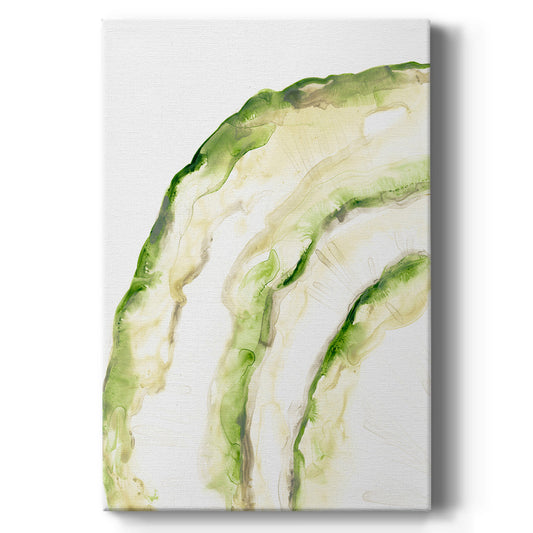 Lichen Halo I - Canvas Art Print