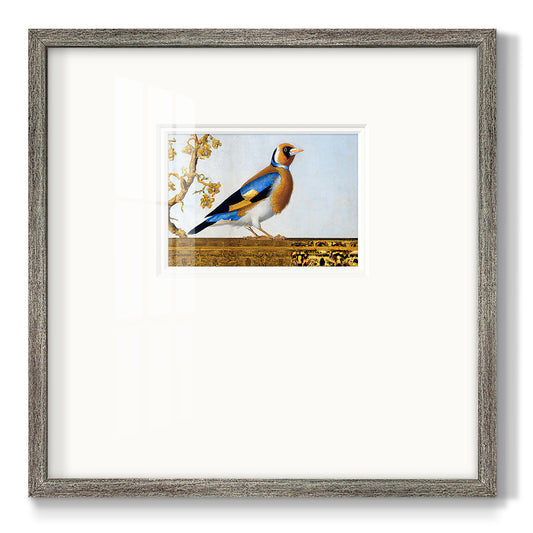 Golden Finch Premium Framed Print Double Matboard