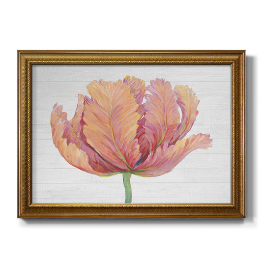 Single Pink Bloom I - Ornate Framed Canvas Print