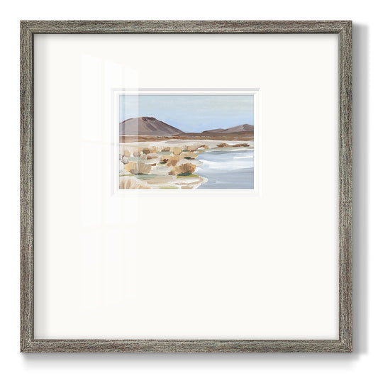 Desert Oasis Study II Premium Framed Print Double Matboard