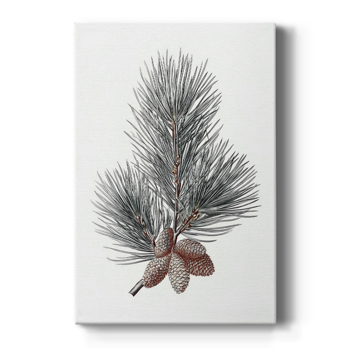 Silver Whisper of Snow - Canvas Art Print