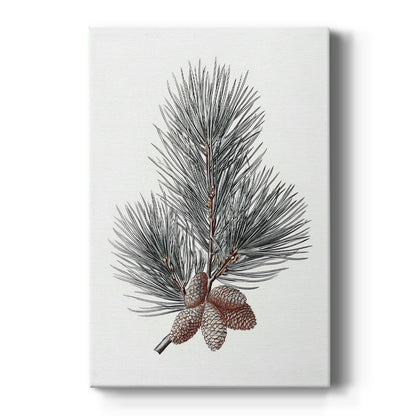 Silver Whisper of Snow - Canvas Art Print