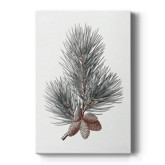 Silver Whisper of Snow - Canvas Art Print