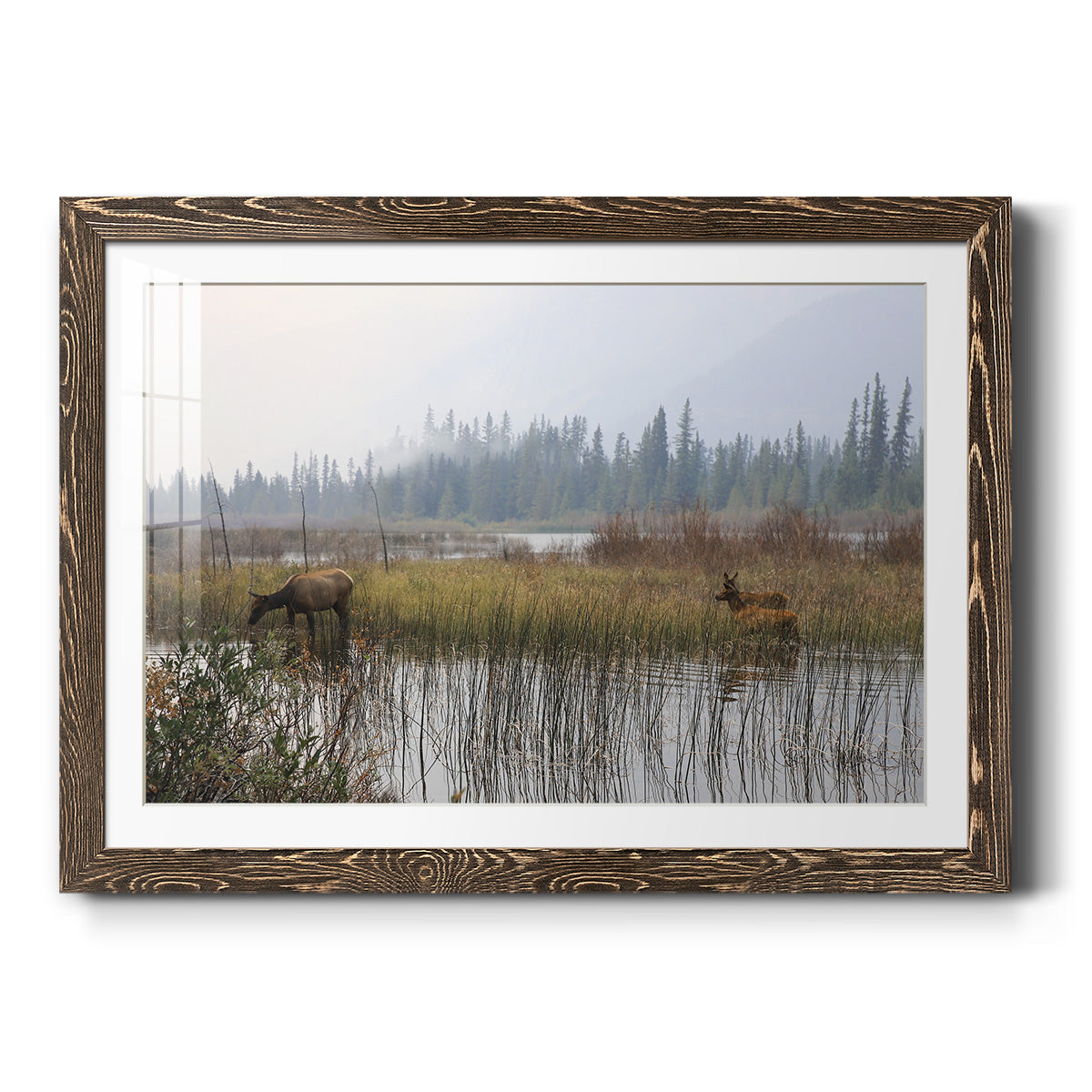 Out with the Twins - Barnwood Framed Art Print