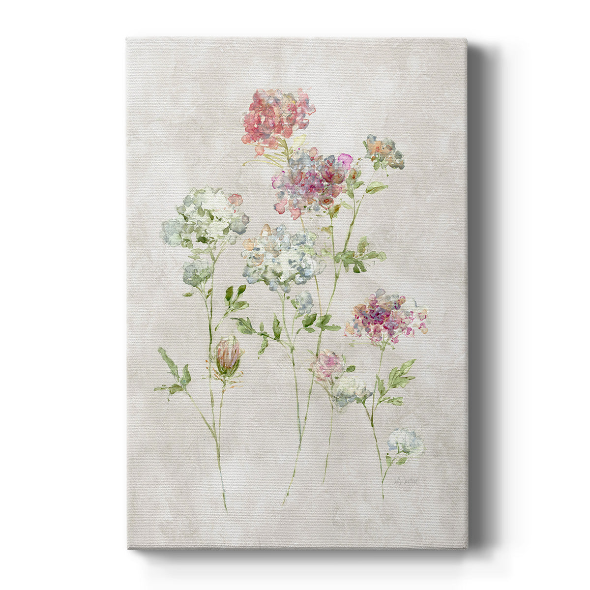 Soft Lace I Premium Gallery Wrapped Canvas - Ready to Hang