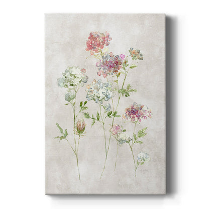 Soft Lace I - Canvas Art Print