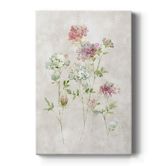 Soft Lace I - Canvas Art Print