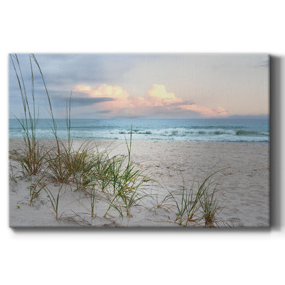 Beach Driftwood - Canvas Art Print