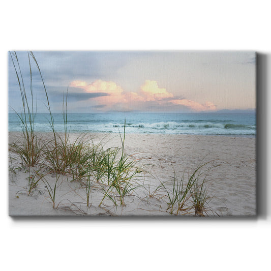 Beach Driftwood - Canvas Art Print