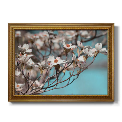 Dogwood Spring III Premium Framed Canvas- Ready to Hang