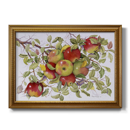 Apples Premium Framed Canvas- Ready to Hang