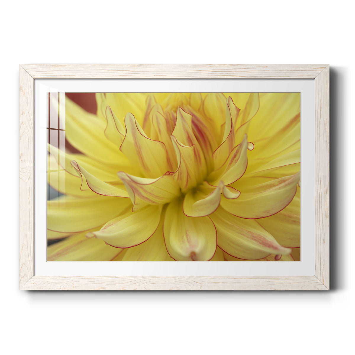 Blooms I - Barnwood Framed Art Print