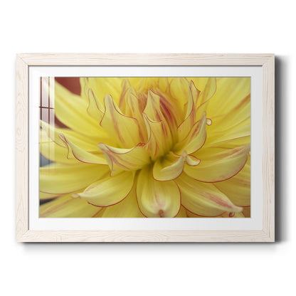 Blooms I - Barnwood Framed Art Print