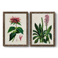Antique Floral Folio I - Barnwood Framed Canvas Set