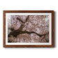 Spring's Arrival - Barnwood Framed Art Print