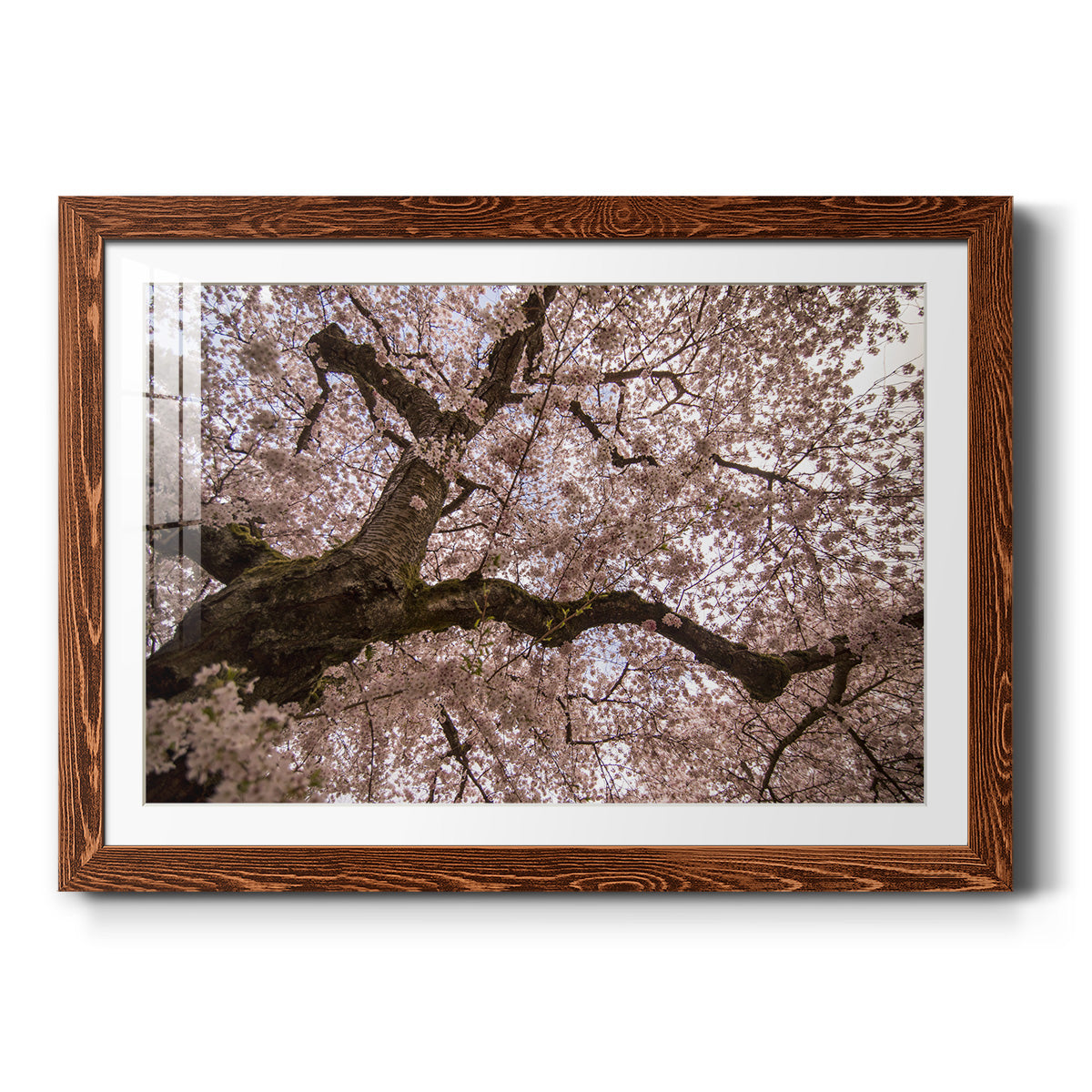 Spring's Arrival - Barnwood Framed Art Print