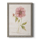 Soft Peony - Barnwood Framed Canvas Print