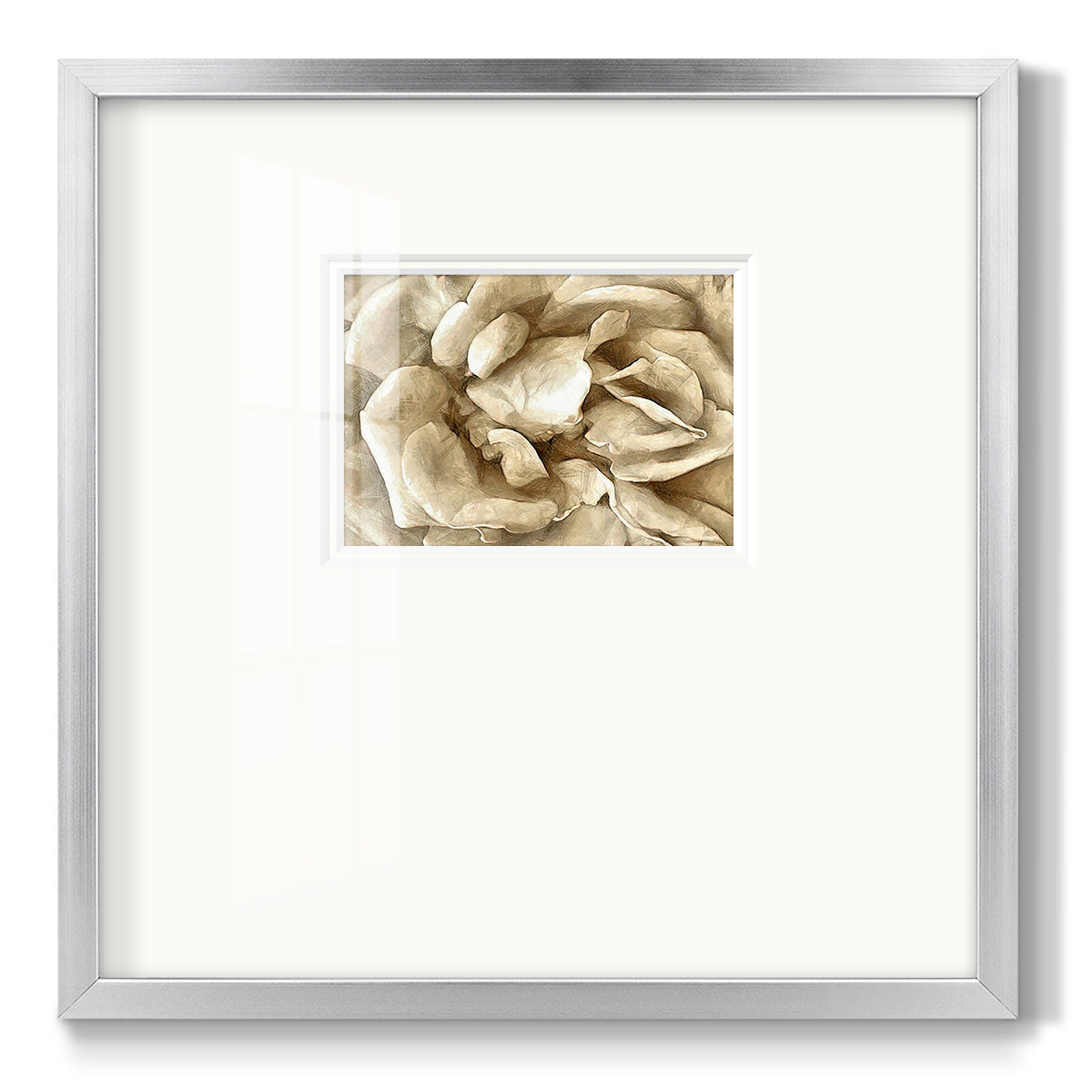 Neutral Wall Flower II - Double Matboard Framed Print