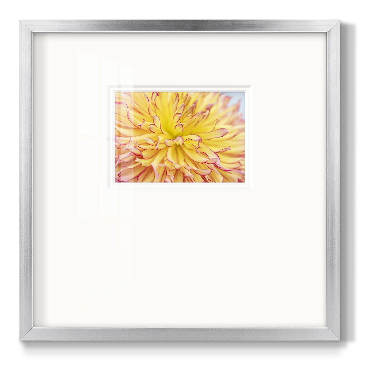 Blooms III Premium Framed Print Double Matboard