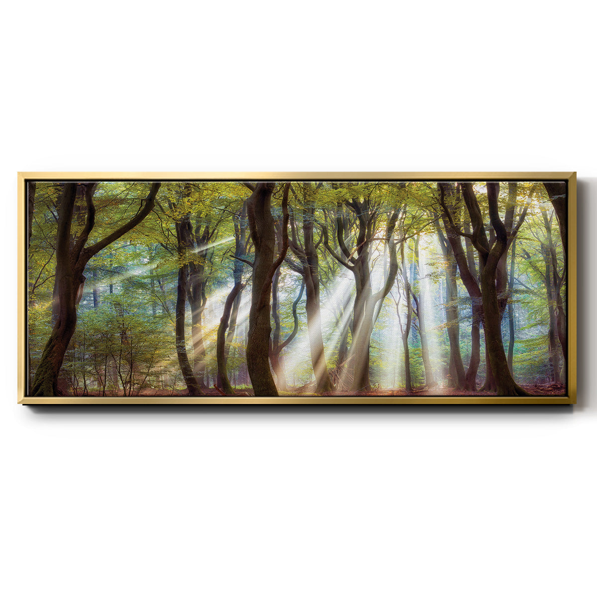 Majestic Morning - Floater Framed Canvas Print