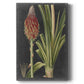 Dramatic Tropicals IV Premium Gallery Wrapped Canvas - Ready to Hang