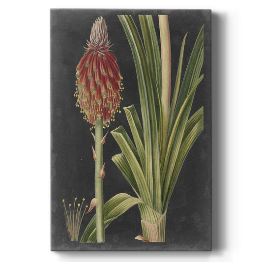 Dramatic Tropicals IV Premium Gallery Wrapped Canvas - Ready to Hang