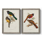 Elegant Trogons III - Premium Framed Canvas 2 Piece Set - Ready to Hang