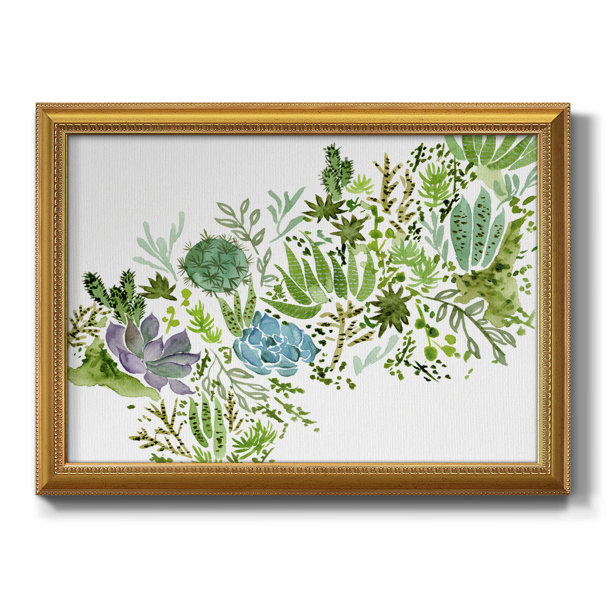 Succulent Field I Premium Framed Canvas- Ready to Hang