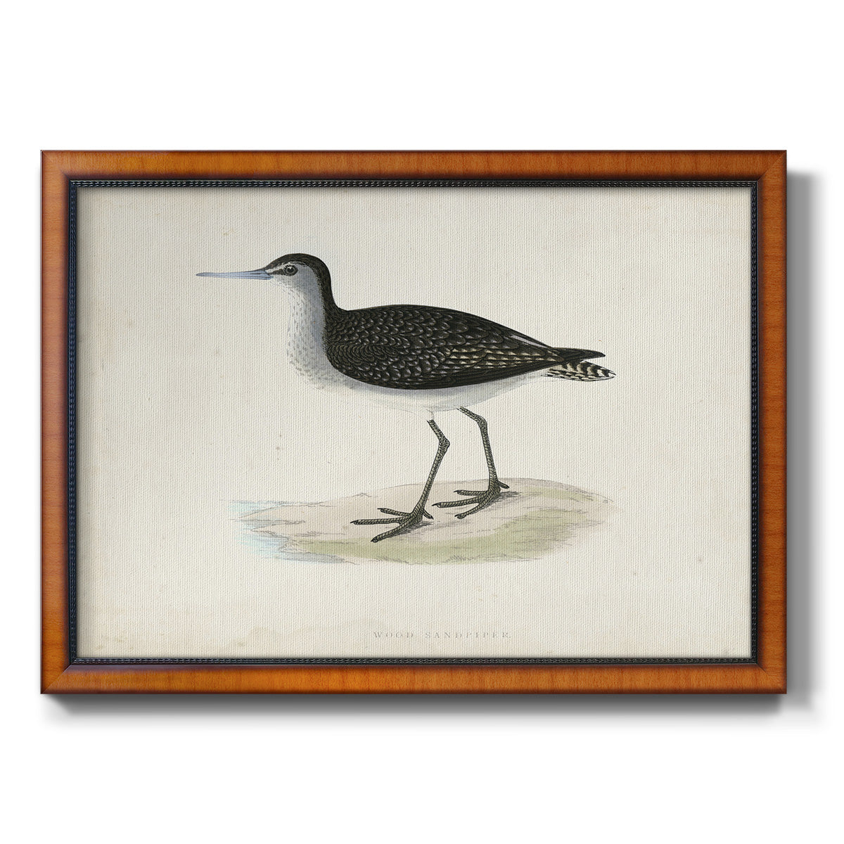 Morris Sandpipers VIII Premium Framed Canvas- Ready to Hang